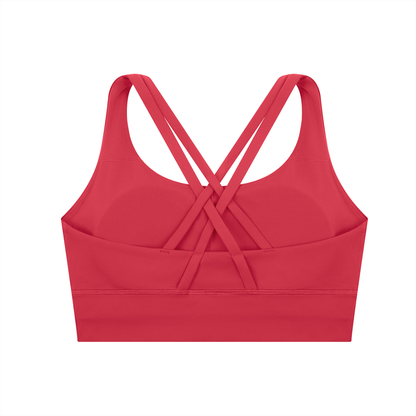 sivra's criss-cross sports bra